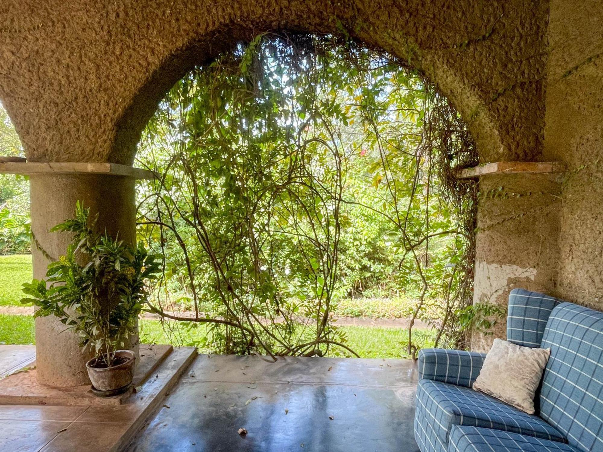 Huntingdon House And Chawani Bungalow Thyolo المظهر الخارجي الصورة