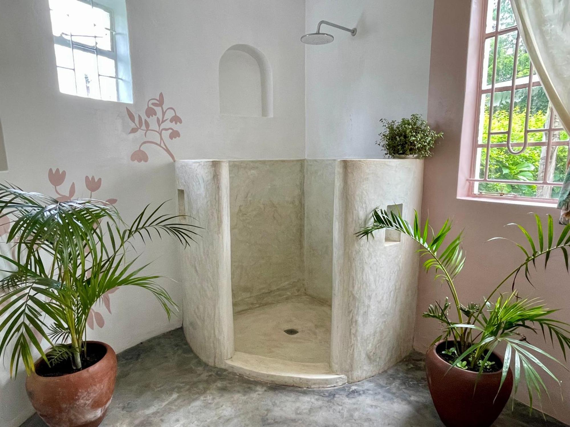 Huntingdon House And Chawani Bungalow Thyolo المظهر الخارجي الصورة